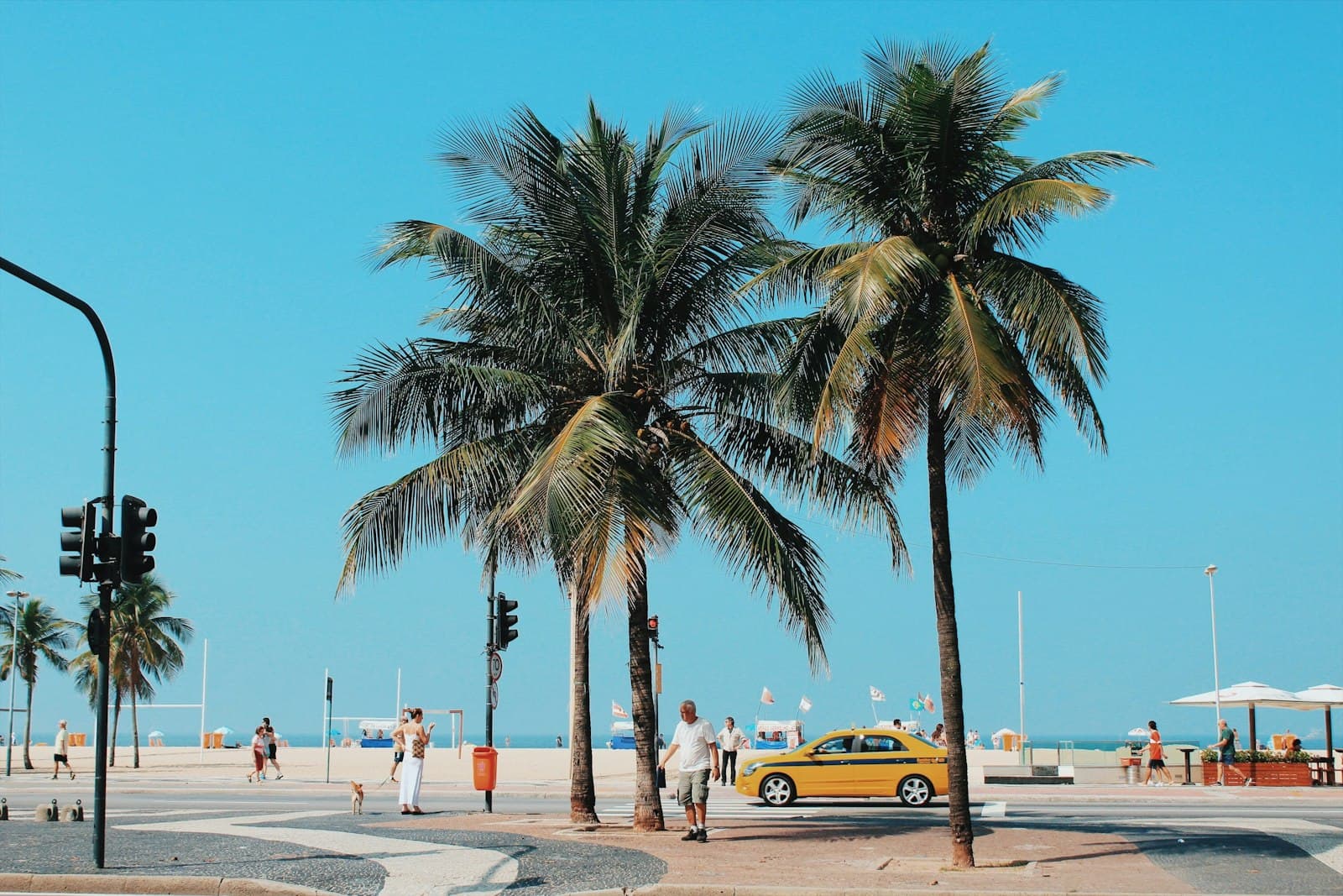 Palm trees along Copacabana beach in Rio de Janeiro