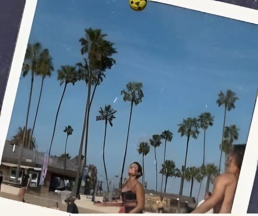 Palm trees and players on the beach